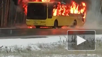 На Приморском шоссе водитель эвакуировал пассажиров из горящего автобуса