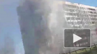 Видео из Петербурга: на Придорожной аллее произошел крупный пожар
