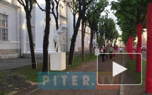 Видео: у стен "Манежа" появись необычные экспозиции