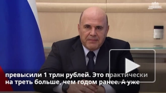 Мишустин: в РФ приехали более 9 млн иностранных туристов