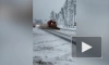 Более 200 единиц спецтехники убирают снег на трассах Ленобласти