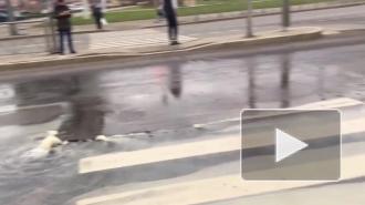 Проезжую часть на Ленинском проспекте затопило 