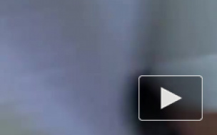 Появилось видео задержания дорожного убийцы в Ростове