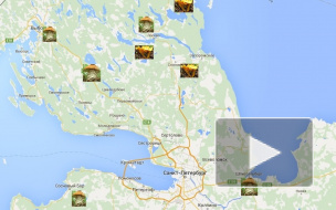 Где собирать грибы в Ленинградской области в 2016 году: карта и советы