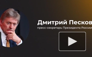 Песков усомнился, что внешнее вмешательство в ситуацию в Нигере поможет урегулированию