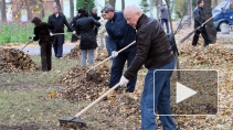 В Петербурге на общегородском субботнике губернатор Полтавченко посадил березу и яблоню