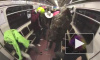 Видео: Harlem shake в Петербурге в защиту животных