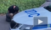 Полицейские устроили погоню за пьяным лихачом без прав в центре Петербурга