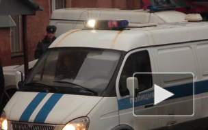 Житель Архангельской области заявил в полицию о краже у него конопли и получил 200 часов исправительных работ