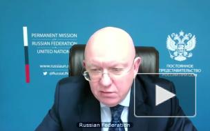 США и Россия обменялись цитатами Мартина Лютера Кинга на заседании Совбеза ООН