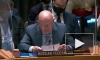 Небензя назвал неприемлемым проект резолюции СБ ООН по климату и безопасности
