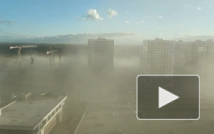 Васильевский остров накрыло облаком пыли (видео) 