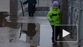 Петербуржцы покорно прыгают через лужи и ждут, когда за них пожалуются