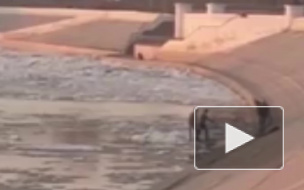 Опасное видео из Омска: Дети прыгали по льдинам на Иртыше