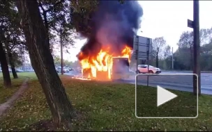 Прокуратура Петербурга проверит инцидент с горящим автобусом на Маршала Жукова