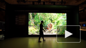 Компания Samsung представила гигантский телевизор QLED 8K