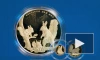 Банк России выпустил памятные золотые и серебряные монеты "Белка обыкновенная"