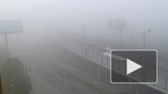 Туман в Петербурге создал проблемы на дорогах и в Пулково
