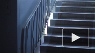 В Ленобласти девятиклассник изнасиловал 11-летнюю девочку