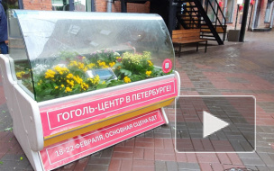 В Бертгольд-центре установили морозильную камеру с "маленькими трагедиями" петербуржцев