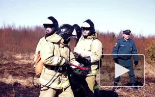 Дальний восток вновь охвачен лесными пожарами