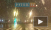Видео: в ночь на вторник Петербург замело мокрым снегом