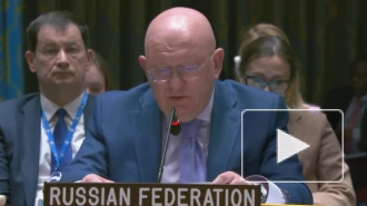 Небензя: украинцы все четче понимают, что их интересов в конфликте с Россией нет