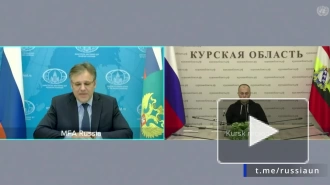 Мирошник: более 4 тыс. россиян пострадали от атак ВСУ с начала года