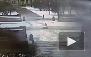 Видео: подросток закидал снегом Вечный огонь на Марсовом поле 