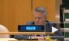 ГА ООН приняла резолюцию, осуждающую "нарушения прав человека" в Крыму