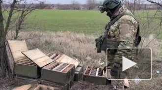 В освобожденных селах ДНР нашли крупные тайники ВСУ с боеприпасами