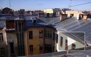 В Петербурге хулиган ударил полицейского ногой