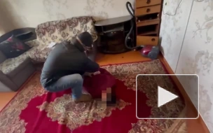 В Хабаровске возбуждено уголовное дело на иностранца за призыв к террору