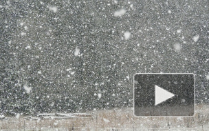 В олимпийские выходные в Петербурге будет метель и гололед