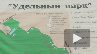 "Зенит" "озеленяет" Удельный парк футбольными полями