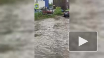 Бригады "Водоканала" откачивали воду с улиц Петербурга после ливня