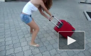 Неукротимый чемодан