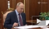 Путин на встрече с Развожаевым отметил бесстрашие жителей Севастополя