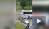 Видео: на Софийской водитель-неадекват собрал все поребрики