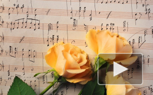 В Петербурге пятеро человек изнасиловали музыканта из Бразилии, издеваясь и требуя у жертвы деньги