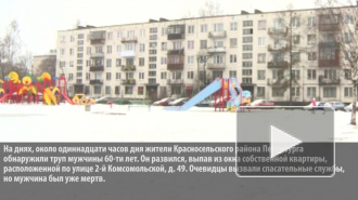 Пожилой петербуржец выпал из окна своей квартиры и разбился в Красносельском районе