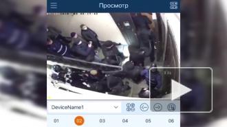 Cиловики устроили ночной рейд по барам Петербурга