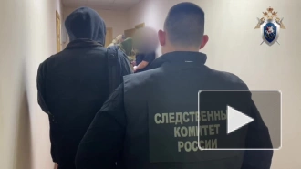 Задержан убийца директора Новомосковского колледжа олимпийского резерва и его адвоката в Тульской области