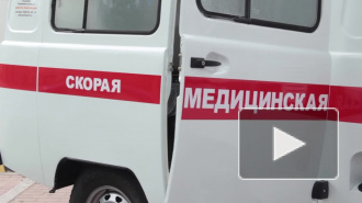 В Петербурге на пациента, пытавшегося задушить фельдшера скорой, завели уголовное дело В Петербурге на пациента, пытавшегося задушить фельдшера скорой, завели уголовное дело