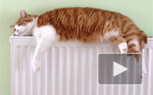 Энергетики оставят Петербург без тепла: с 8 мая нас ждет периодическое протапливание