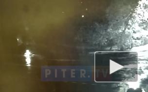 Видео: "Лада" свернула с проезжей части в сквер в Сестрорецке