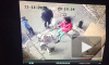 В Екатеринбурге трое бульдогов напали на девочку с собакой