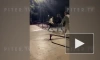 На видео попала драка во Всеволожске с участием юного фаната "Зенита"