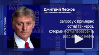 Песков: Россия адаптируется к непрекращающимся санкционным устремлениям США