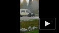 Засняли на видео, как горит автомобиль в Стерлитамаке